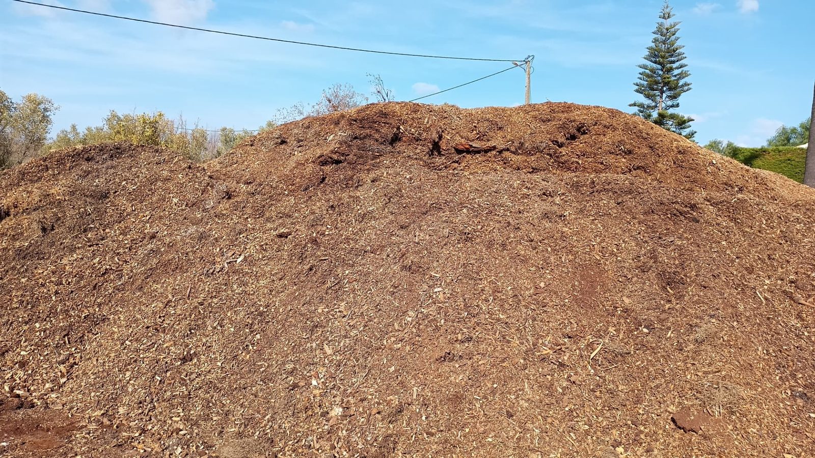 Pilha de estilha de madeira a granel para utilização em jardins no Algarve